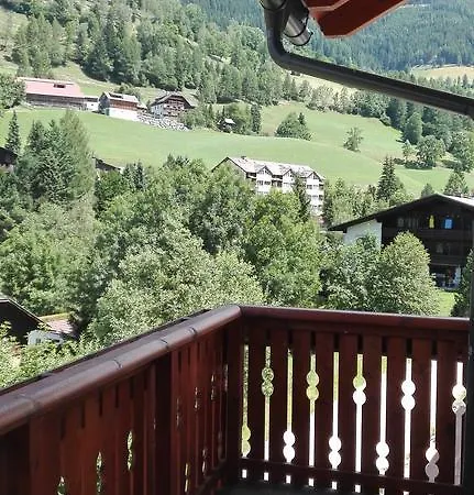 Wald - Kaernten Card Im Sommer Inklusive Apartmán