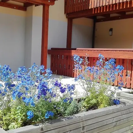 Wald * Bad Kleinkirchheim