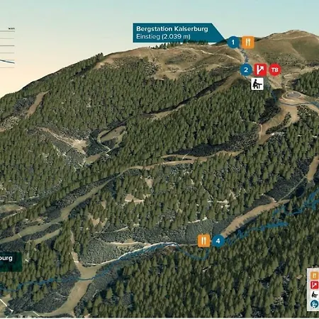 Wald Bad Kleinkirchheim