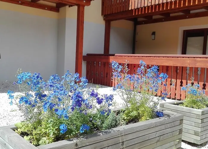 Wald * Bad Kleinkirchheim