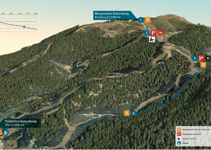 Wald Bad Kleinkirchheim